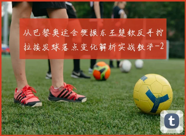 从巴黎奥运会樊振东王楚钦反手拧拉接发球落点变化解析实战教学