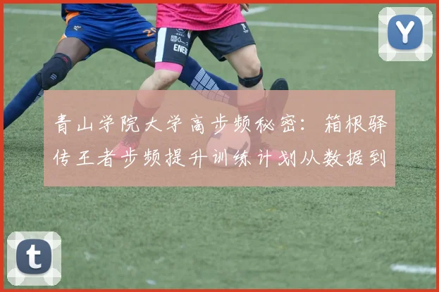 青山学院大学高步频秘密：箱根驿传王者步频提升训练计划从数据到实践
